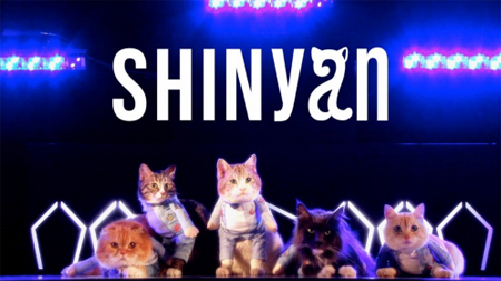5匹の猫による「SHINee」コピーグループ「SHINyan」、デビュー楽曲＆MV公開
