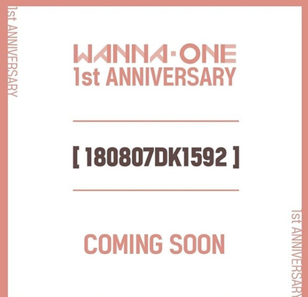 「Wanna One」側、デビュー1周年イベントを準備中…ゲリラファンミを否定