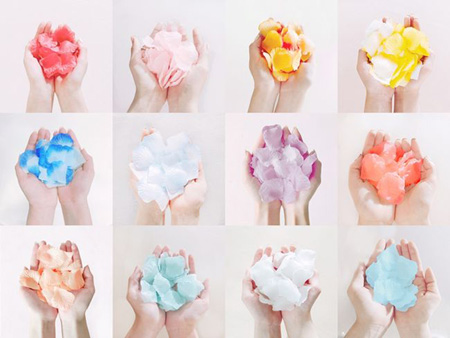 “デビュー間近”「IZ*ONE」、12色のバラの花びらのイメージ写真を公開！