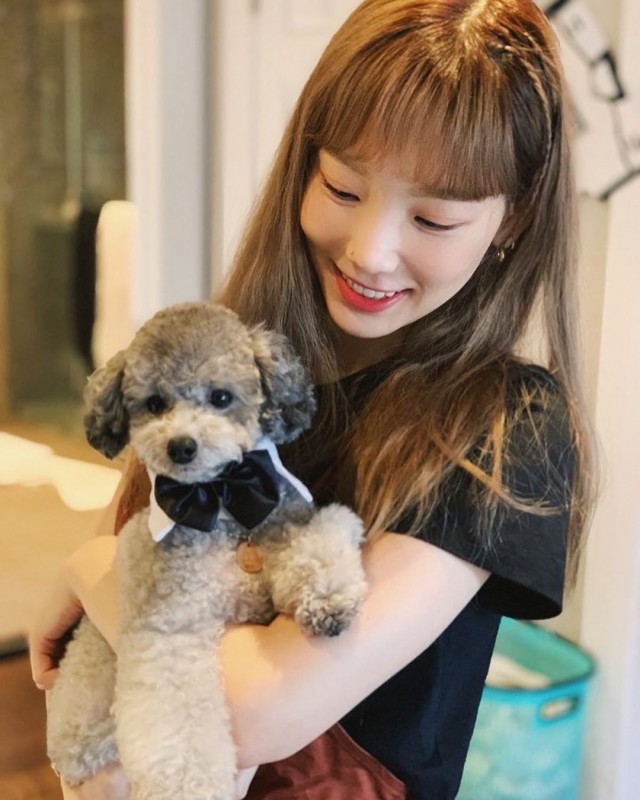少女時代テヨン 伴侶犬ゼロと幸せな日常 チュー K Pop 韓国エンタメニュース 取材レポートならコレポ