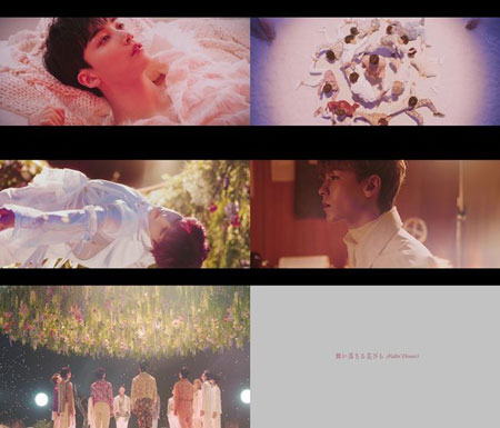 「SEVENTEEN」、2ndシングル「舞い落ちる花びら (Fallin’ Flower)」MVティザーをサプライズ公開 | K-POP、韓国