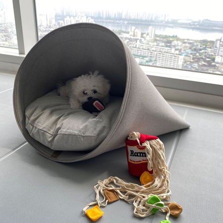 チャンミン（東方神起）、”漢江ビュー”の自宅公開 「愛犬が僕の通帳を…」