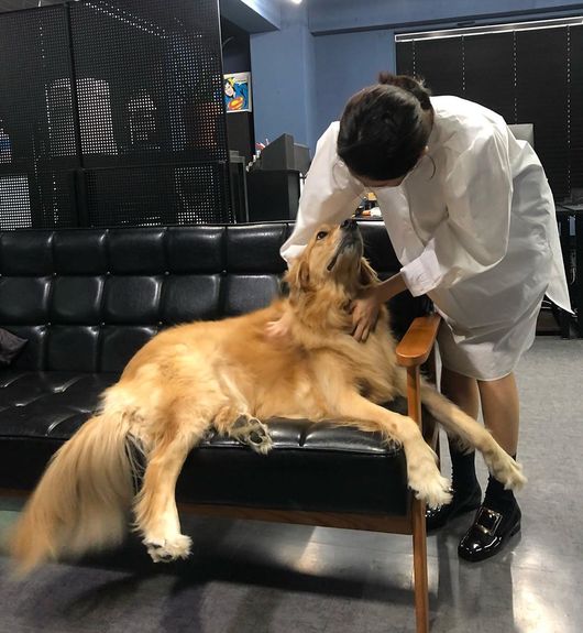 女優シン ミナ 大型犬とじゃれ合う姿もラブリーな日常 K Pop 韓国エンタメニュース 取材レポートならコレポ