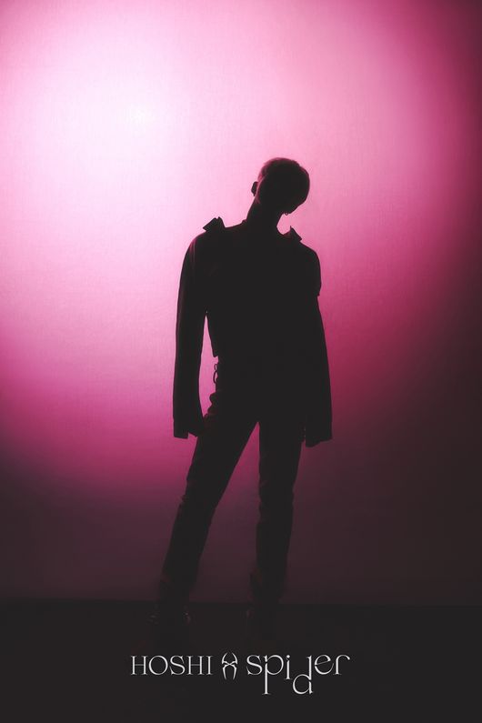 SEVENTEEN ホシ spider コンプ おまけ付き SEVENTEEN ホシ spider コンプ おまけ付き SEVENTEEN ホシ spider