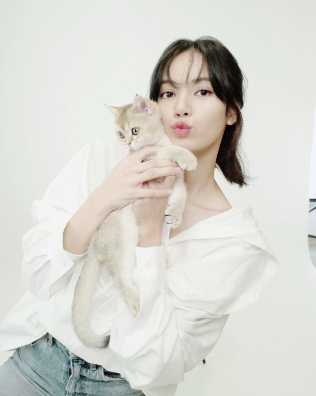 かわいいが凝縮 Blackpink のlisa 愛猫2匹とグラビア挑戦 初めての公式撮影 K Pop 韓国エンタメニュース 取材レポートならコレポ