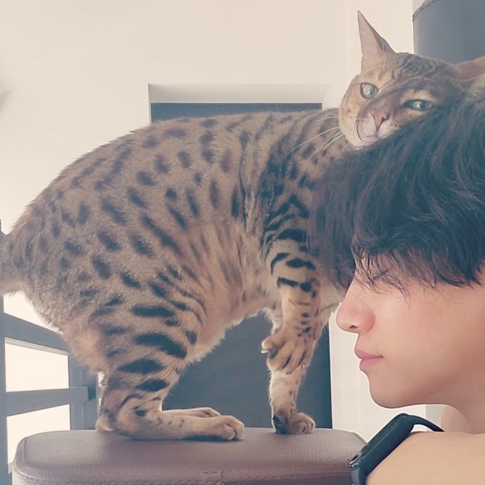 2pmジュノ 愛猫との甘いアイコンタクト 和やかな雰囲気が視線を奪う K Pop 韓国エンタメニュース 取材レポートならコレポ