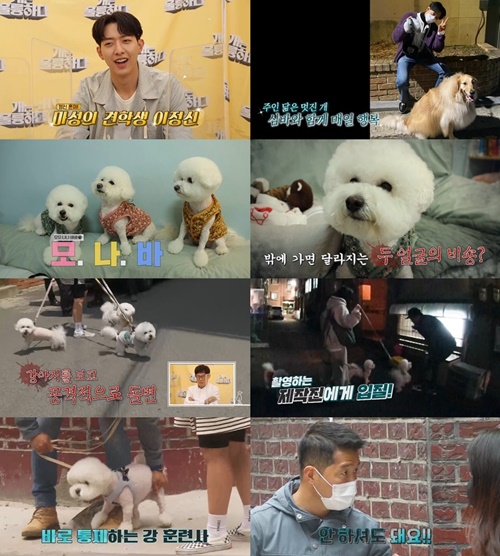 Cnblueイ ジョンシン 犬のことをまず先に考える犬好き 犬は素晴らしい K Pop 韓国エンタメニュース 取材レポートならコレポ