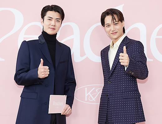 EXO KAI「PEACHES」KPOP韓国盤CD 韓流⭐IDOL⭐男性アイドル 2025年最新