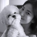 <span class="title">女優ソン・ヘギョ、ドラマ終了後の近況公開…愛犬と共に美しい笑顔</span>