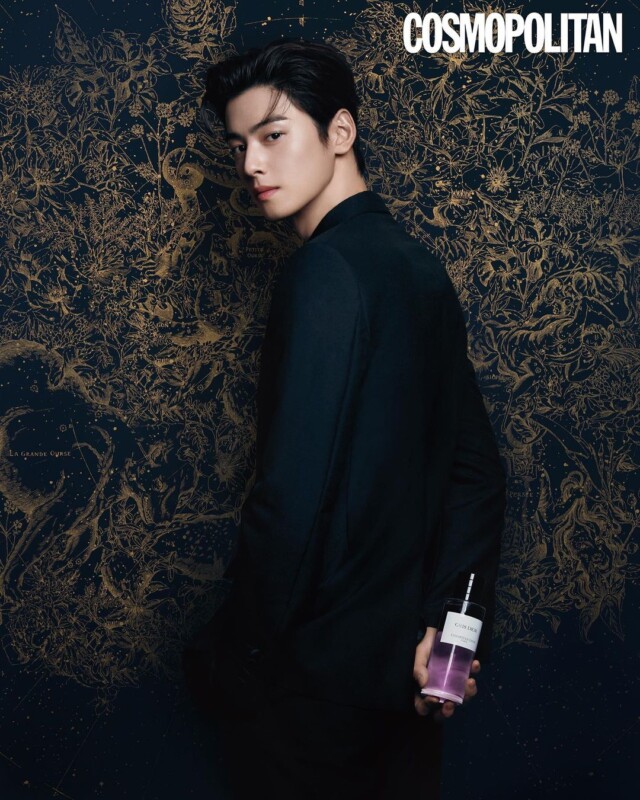 ASTROチャウヌ、ディオールの美しいアンバサダー…貴公子そのもの | K-POP、韓国エンタメニュース、取材レポートならコレポ！