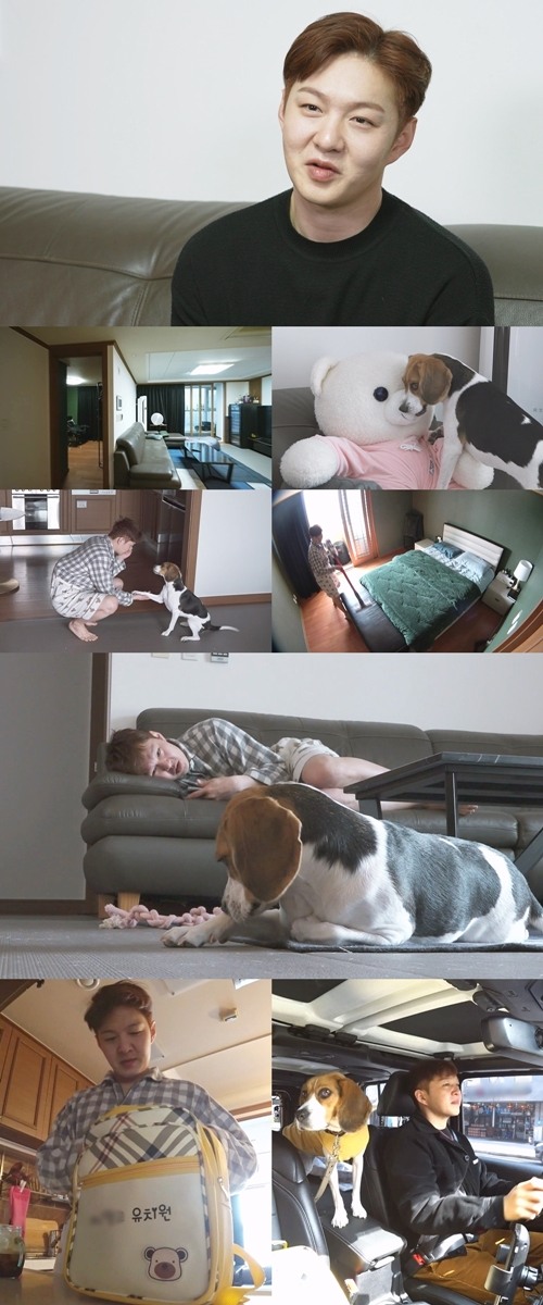 「BTOB」イ・チャンソプ、アイドルではなく“犬のパパ”の姿…インテリアよりも本気 KPOP、韓国エンタメニュース、取材レポートならコレポ!