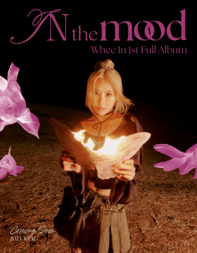 MAMAMOO フィイン 2024 Season Greetings シーグリ MAMAMOO フィイン 2024 Season Greetings シーグリ