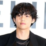 「BTS」V、一緒に紅葉狩りに行きたいスターで1位に