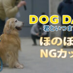 映画『DOG DAYS 君といつまでも』キャスト＆スタッフがメロメロ！ 愉快な撮影現場をのぞき見！わんちゃんたちのほのぼのNGカット解禁