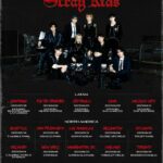 「Stray Kids」、ワールドツアー2次プランを発表…20スタジアムでの単独公演が実現