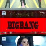 [2024 MAMA]「BIGBANG」G-DRAGON＆SOL＆D-LITE、8年ぶりの公式ステージ…「SEVENTEEN」やキム・テリも歓呼！