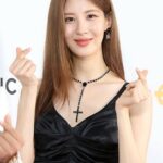 【公式】ソヒョン（少女時代）、杖をついて「KBS演技大賞」…現在「回復中」