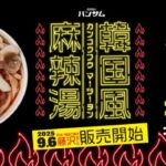 【情報】トレンドフード「麻辣湯」×「韓国食材」自分好みの1杯をオーダー！韓国屋台ハンサム町田店、柏店で好評の『韓国風麻辣湯』新たに藤沢店でも販売開始！