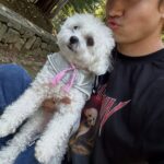 「東方神起」チャンミン、愛犬ポッチの近況伝える…“かわいい僕の娘”