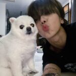 「SUPER JUNIOR」イェソン、愛犬メロと悲しいお別れ…思い出の写真を多数公開