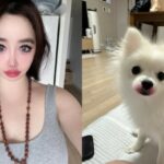 BOM（2NE1）、ヤン・ヒョンソクへの訴状に電話番号や天文学的金額記名…さらに口紅をした愛犬公開まで“心配ing”
