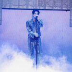 メキシコの大臣、「BTS」JINのファンコンサート観覧…APECでK-POPの位相再確認