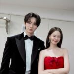 ユナ（少女時代）、俳優イ・チェミンと再会「第46回青龍映画賞」の華麗なる舞台を飾る！