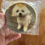 「東方神起」チャンミン、愛犬ポッチがプリントされたクッキーに“このクッキーかわいくて食べられません”