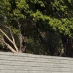 パク・ボゴム＆ヘリ（Girl’s Day）、台湾・高雄で一緒にランニング…「応答せよ1988」ファミリーの友情