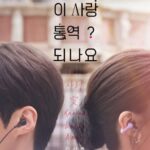 福士蒼汰の初韓国ドラマ挑戦作「恋の通訳、できますか？」、キム・ソンホ＆コ・ユンジョンのポスターを公開…Netflixで1月16日公開確定