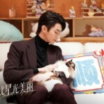 ≪中華ドラマNOW≫「星より輝く君へ」25話、星辰と韓廷が危機を脱する＝あらすじ・ネタバレ