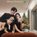 ハン・イェスル、“10歳年下夫”とクリスマスパーティー…立派なリビングで愛犬と3ショット