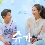 “韓流女神”チェ・ジウ、揺るぎない母性愛…糖尿病を扱った主演映画「シュガー」のメインポスター公開