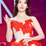 IU（アイユー）、「2025 APAN」で大賞　「おつかれさま」6冠達成【総合】