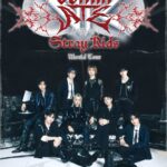 Stray Kids、初のVRライブイベント「LYNKPOP : Stray Kids World Tour ＜dominATE JAPAN＞ VR」が開催決定！！