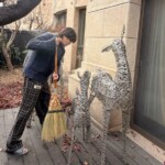 チャン・グンソク、掃除をする姿もプリンス級…背中についた枯葉になりたい