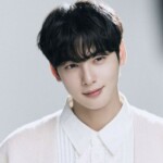 “法人名義でも個人所得”チャウヌ（ASTRO）、200億ウォンの脱税疑惑に法曹界の判断は？