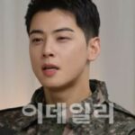 「ASTRO」チャウヌ「脱税」疑惑の舞台裏　調査は入隊前に終了、処罰論より問われる“適正な納税”