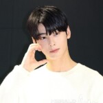 「韓国史上、前例のない水準」国税庁調査官出身の税理士、チャウヌ“20億円追徴”疑惑を分析