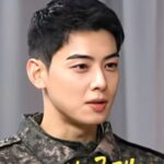 “脱税疑惑”チャウヌ（ASTRO）、国防部も“光の速さ”で軍広報映像を削除