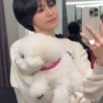 <トレンドブログ>ソン・ヘギョ、愛犬を抱っこして透明感あふれる近況…“ク・アン・ク”でも輝く美貌