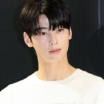 「チャウヌ（ASTRO）、告発されなければ幸い」…元国税庁調査官が対応方法を批判