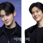 【コラム】チャウヌ、キム・ソンホなど芸能人の家族法人はなぜ危険なのか　廃業で終わらない税金問題