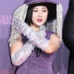 “注射おばさん騒動”パク・ナレの捜査を担当した刑事課長、退職後に弁護側の法律事務所に再就職