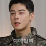 チャウヌ（ASTRO）、除隊後に結論、租税審判院で審査に486日かかる