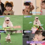 <トレンドブログ>俳優シム・ヒョンタクの息子ハルくん、生後416日で初めての第一歩を踏み出す…「本当に誇らしい」と感激（スーパーマンが帰ってきた）