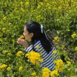 <トレンドブログ>女優イ・ヨンエ、済州島から近況伝える…菜の花の女神のような清純な美貌