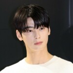 「チャウヌ防止法」発議…芸能事務所の脱税リスクを遮断