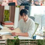 アン・ヒョソプ、青年農夫に変身…「今日も完売しました」で変幻自在の魅力を予告