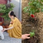 ソン・ヘギョ、花より美しい母娘..母親とゆったり花植える日常公開